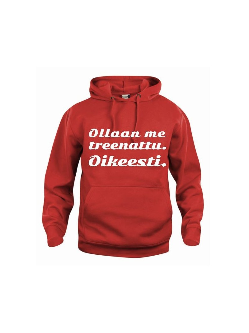 "OLLAAN ME TREENATTU."