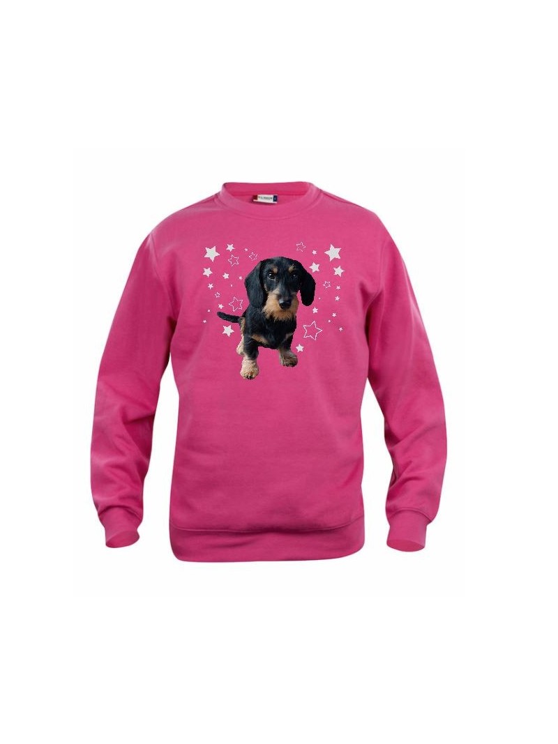 KARKEAKARVAINEN MÄYRÄKOIRA, musta "STARS" sweatshirt