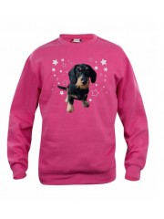 KARKEAKARVAINEN MÄYRÄKOIRA, musta "STARS" sweatshirt