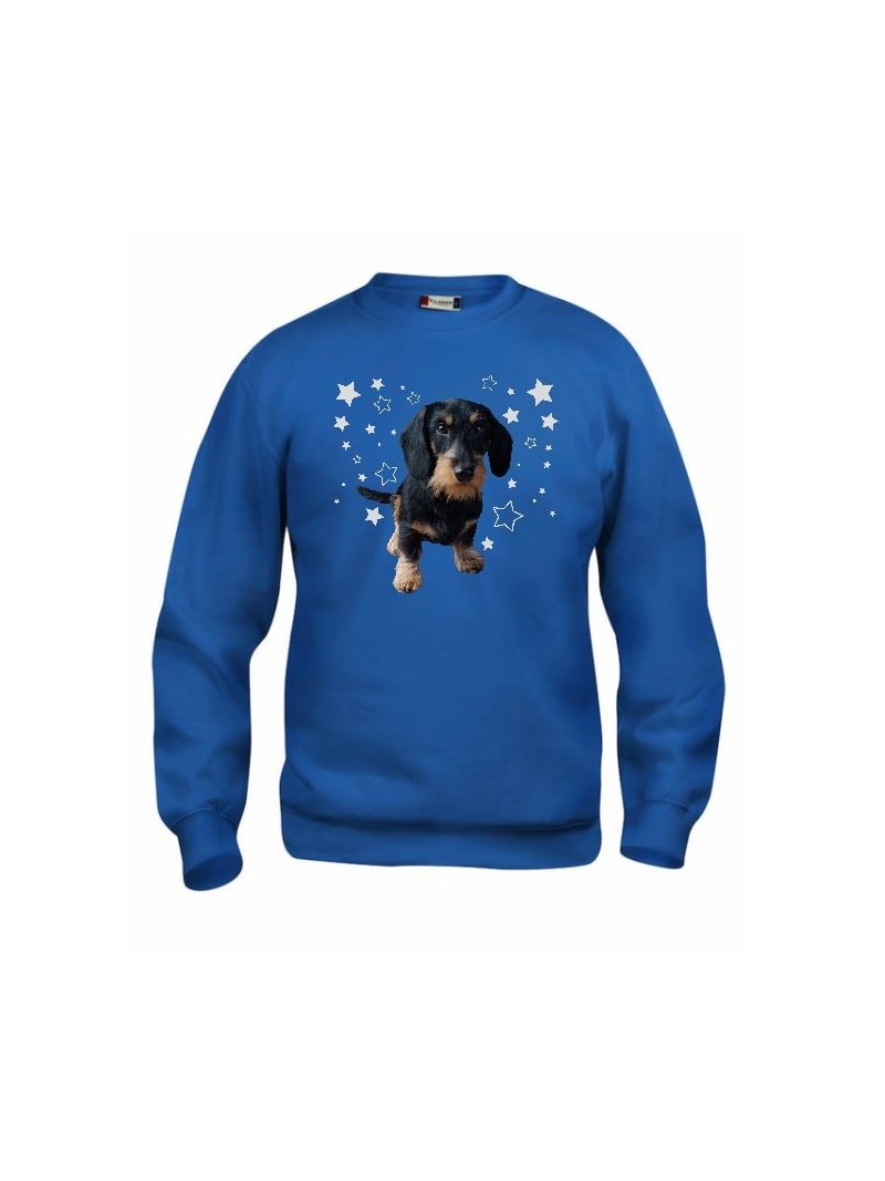 KARKEAKARVAINEN MÄYRÄKOIRA, musta "STARS" sweatshirt