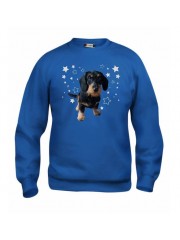 KARKEAKARVAINEN MÄYRÄKOIRA, musta "STARS" sweatshirt