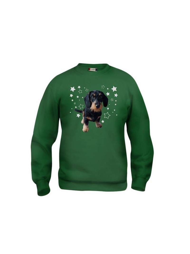 KARKEAKARVAINEN MÄYRÄKOIRA, musta "STARS" sweatshirt