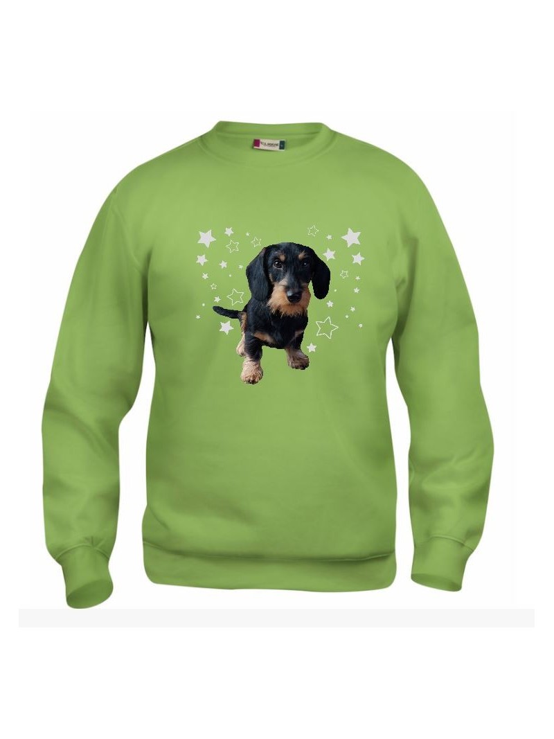 KARKEAKARVAINEN MÄYRÄKOIRA, musta "STARS" sweatshirt