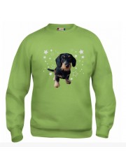 KARKEAKARVAINEN MÄYRÄKOIRA, musta "STARS" sweatshirt