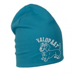 "Valopäät" karkeakarvainen mäyräkoira