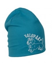 "Valopäät" karkeakarvainen mäyräkoira