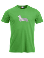 Pitkäkarvainen mäyräkoira GLITTER