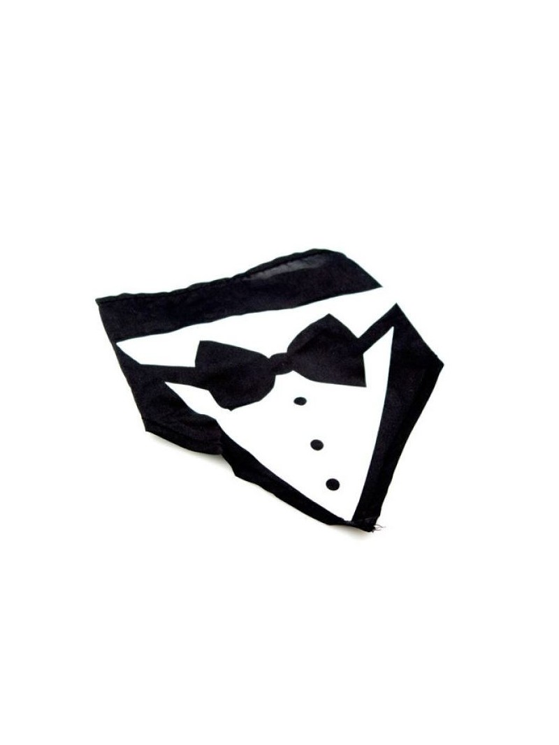 Bandana koiralle