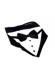 Bandana koiralle