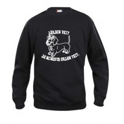 " JÄRJEN VEIT!" karkeakarvainen mäyräkoira