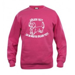 " JÄRJEN VEIT!" pitkäkarvainen mäyräkoira