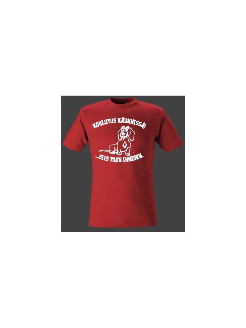 "KOULUTUS KÄYNNISSÄ!" Karkeakarvainen mäyräkoira