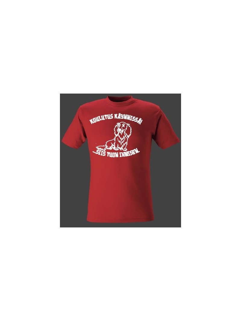 "KOULUTUS KÄYNNISSÄ!" Pitkäkarvainen mäyräkoira